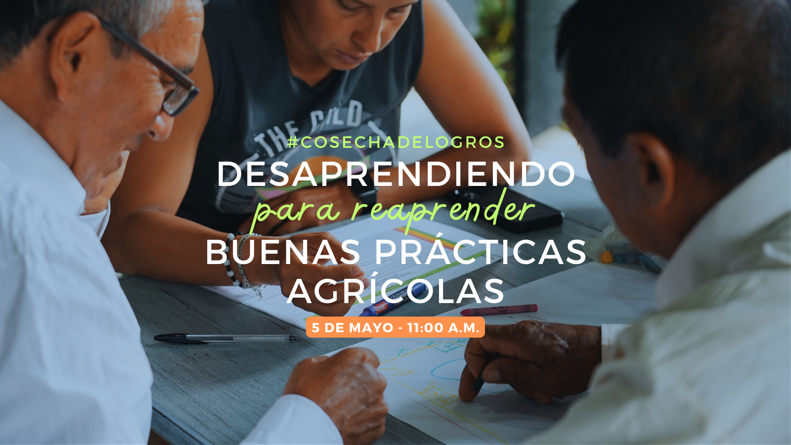 Cosecha de Logros - Procultivos